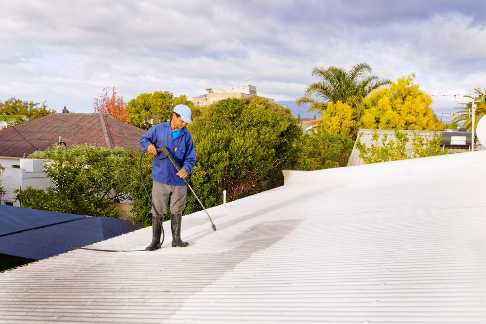 Camden Pressure Washing Roof Cleaning